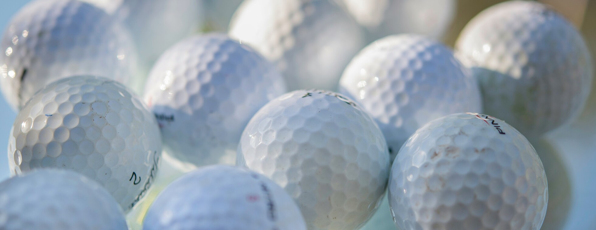 Chip in for Hunger 2025 Tickets & Contests